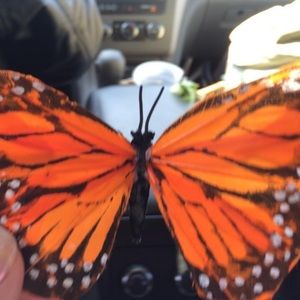 Meet your Posher, Linda